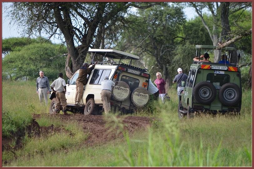 Safari dans les reserves du Serengeti-N'Gorongoro-Tarengire
